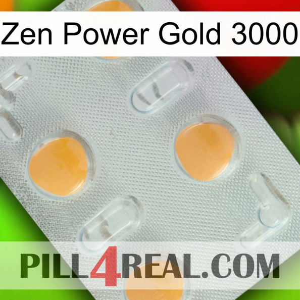 Zen Power Gold 3000 24.jpg